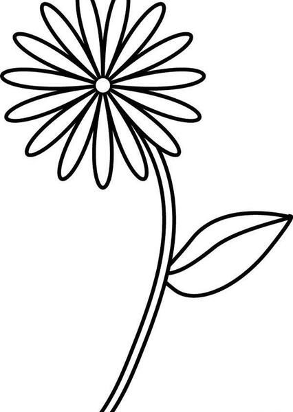 عکس گیاهان دو لپه ای و تک لپه ای