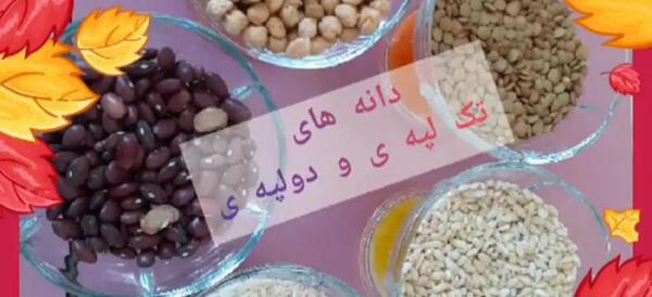 عکس گیاهان دو لپه ای و تک لپه ای