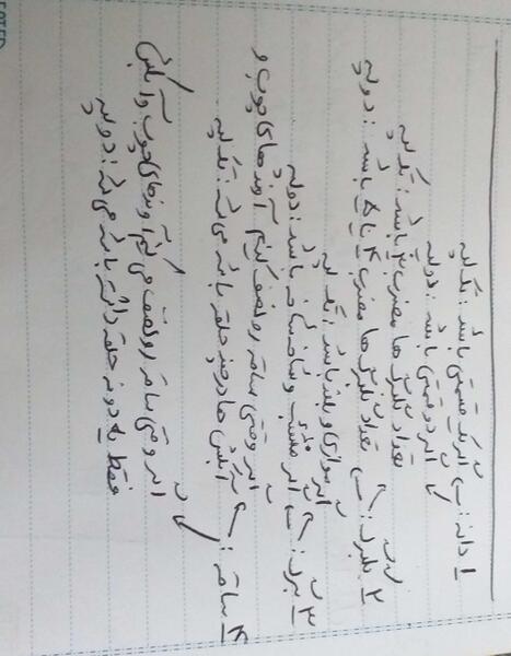 عکس ریشه تک لپه و دولپه
