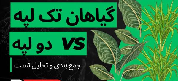 عکس گیاهان تک لپه ای و دولپه ای کلاس سوم