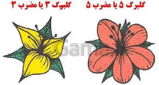 عکس گیاهان تک لپه ای و دولپه ای کلاس سوم