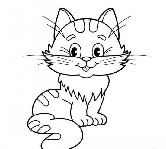 عکس گربه برای طراحی