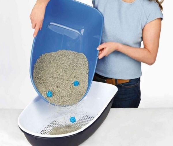 عکس ظرف دستشویی گربه