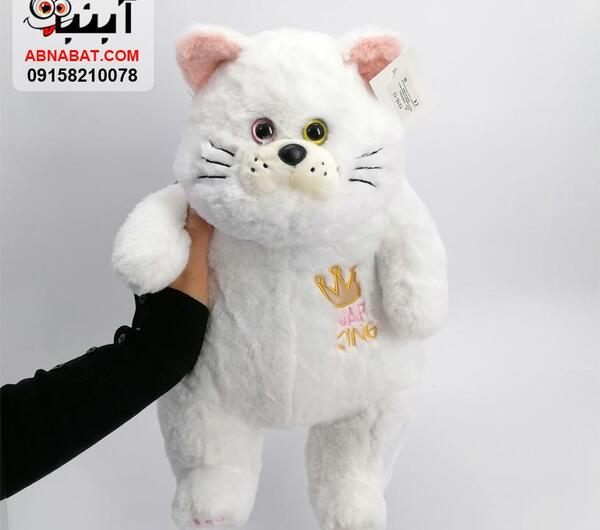 عکس گربه عروسک