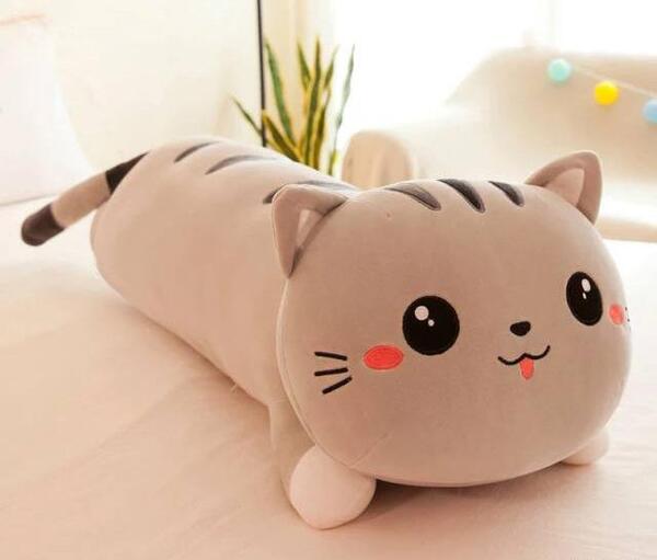 عکس گربه عروسک