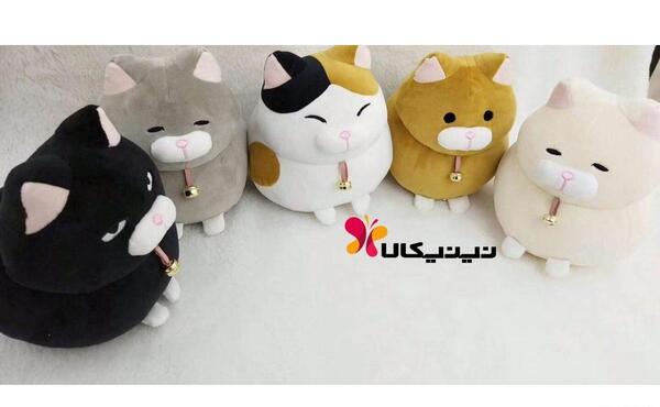 عکس گربه عروسک