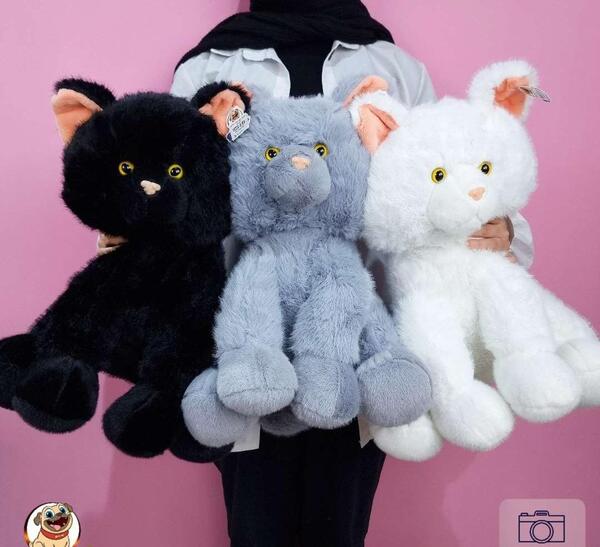 عکس گربه عروسکی واقعی