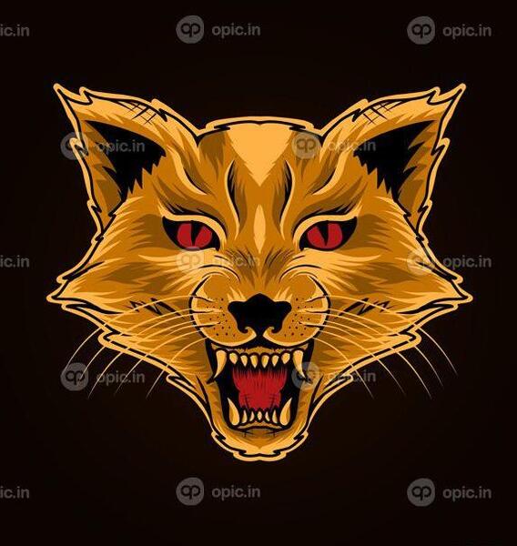 عکس گربه سیاه عصبانی