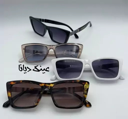 عکس گربه های عینکی