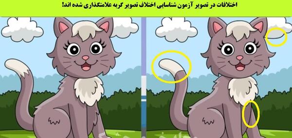 عکس گربه ی عصبی
