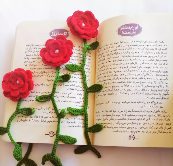 عکس گل رز با کتاب