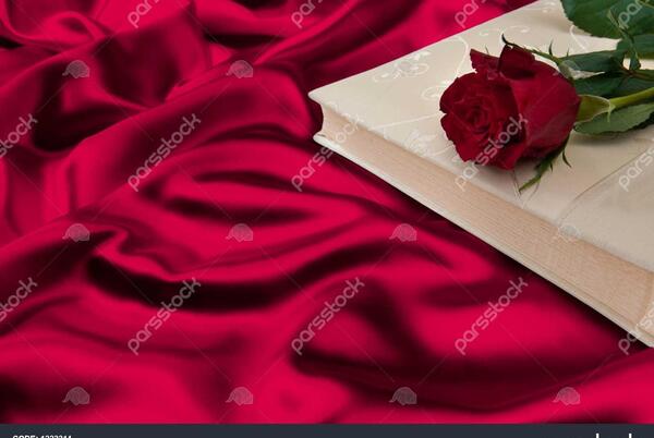 عکس گل رز با کتاب