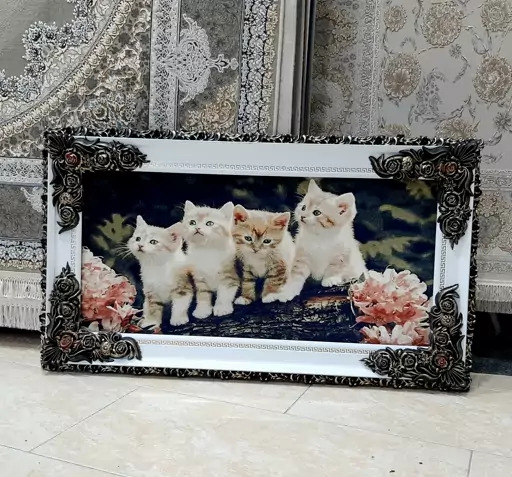 عکس گربه قهوه ای سفید