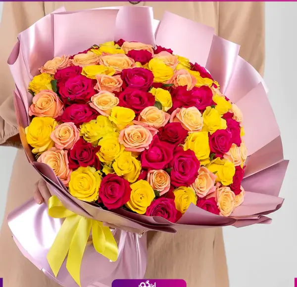 عکس گل رز رنگارنگ زیبا