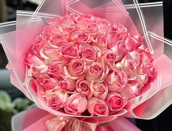 عکس گل های رز رنگارنگ