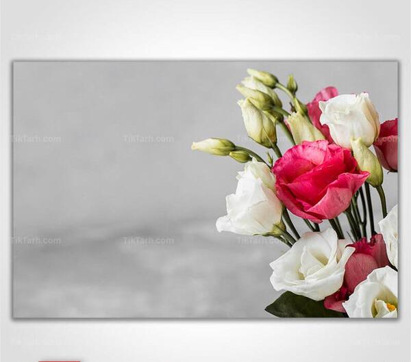 عکس گل های رز رنگارنگ