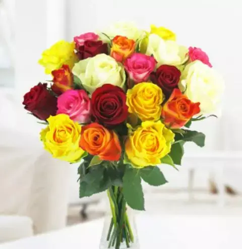 عکس گل های رز رنگارنگ