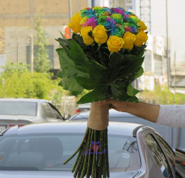 عکس گل های رز رنگارنگ