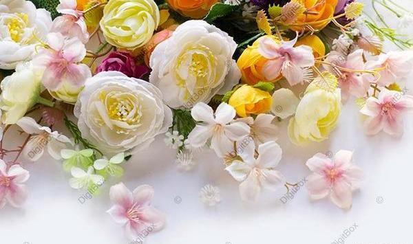 عکس گل های رز رنگارنگ