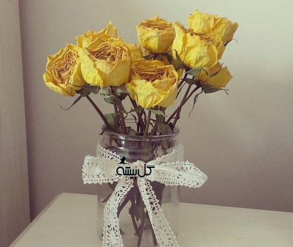 عکس گل رز خشکیده