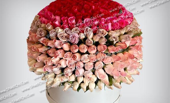 عکس گل رز سفید خشک شده