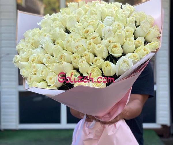 عکس گل رز سفید خشک شده