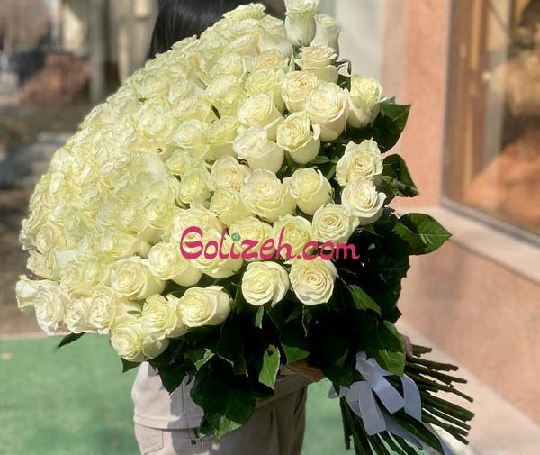 عکس گل رز سفید خشک شده