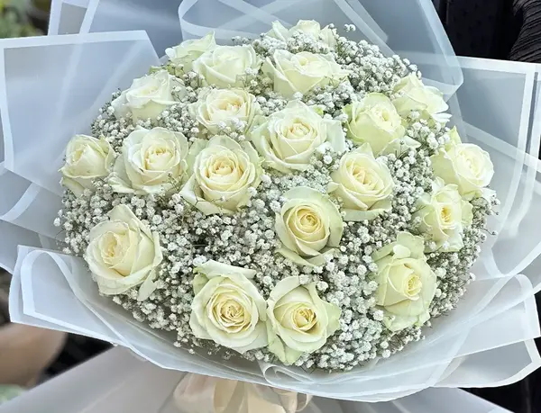 عکس پروفایل گل رز سفید