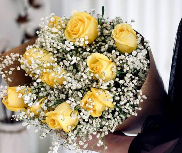 عکس پروفایل گل رز زرد