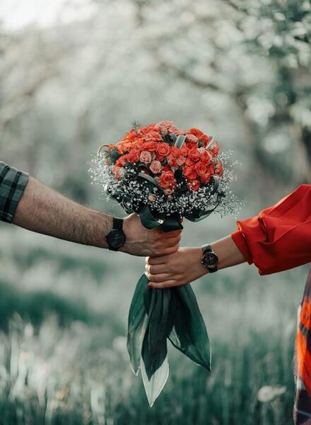 عکس گل رز قرمز با کیفیت بالا