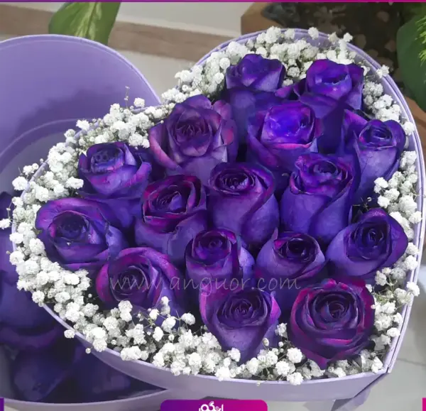 عکس گل رز آبی بنفش