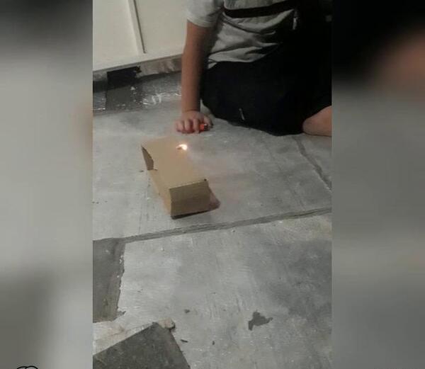 عکس ترقه ی گاوی