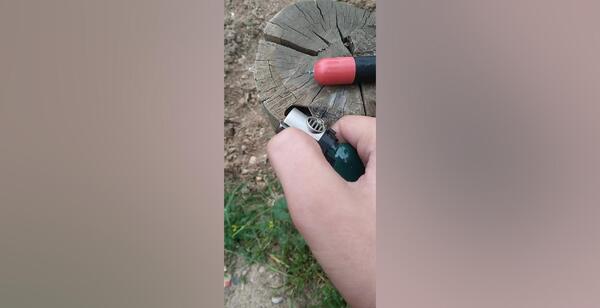 عکس ترقه ی گاوی
