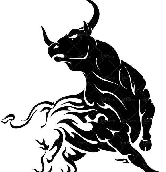 عکس گاو وحشی شاخ دار خارجی