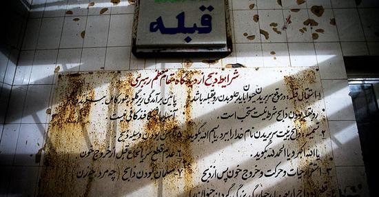 عکس کشتن گاو در کشتارگاه