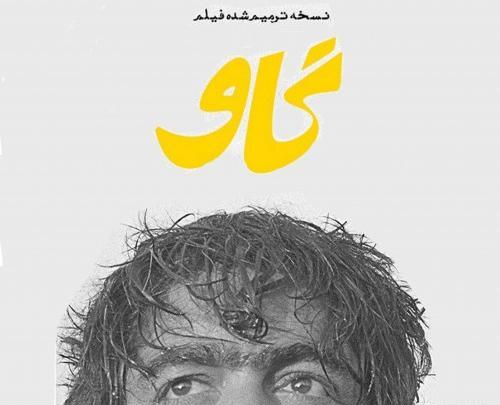 عکس های فیلم گاو