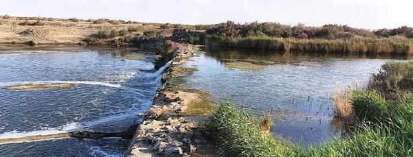 عکس باتلاق گاوخونی