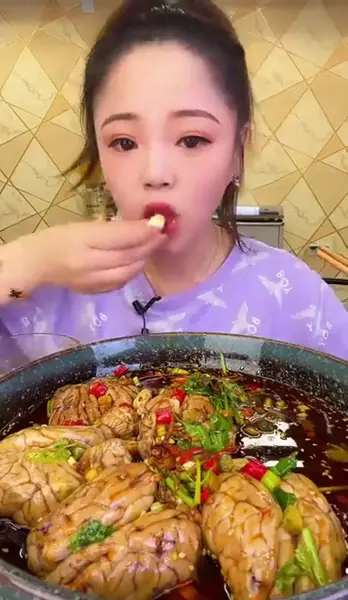 عکس غذا خوردن گاو