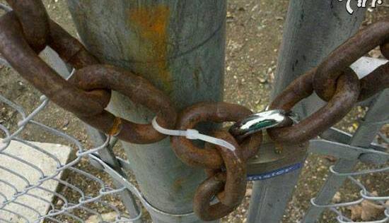 عکس گاوصندوق بانک مرکزی