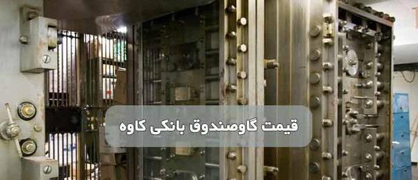 عکس گاوصندوق بانک مرکزی