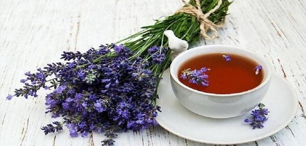 عکس گل گاو زبان طبیعی