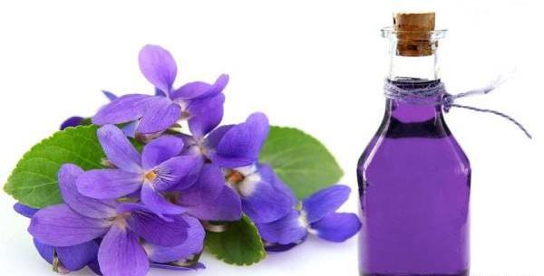 عکس گل گاو زبان طبیعی