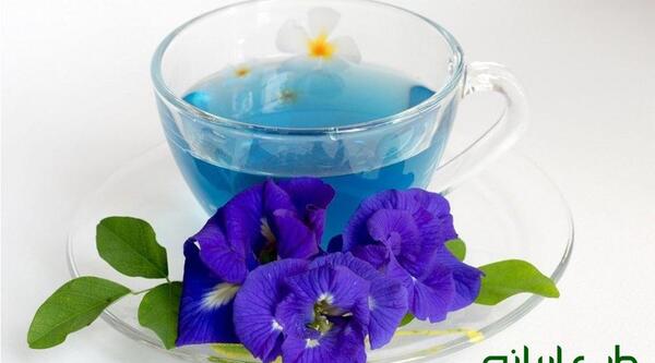 عکس گل گاو زبان طبیعی