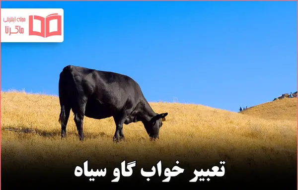 عکس گاو شاخدار وحشی