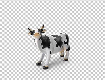 عکس گاو شاخدار سیاه