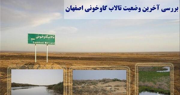 عکس باتلاق گاوخونی اصفهان