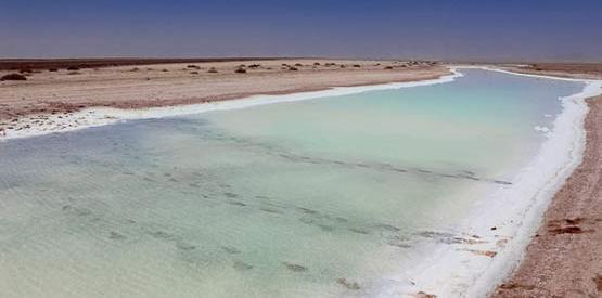 عکس باتلاق گاوخونی اصفهان