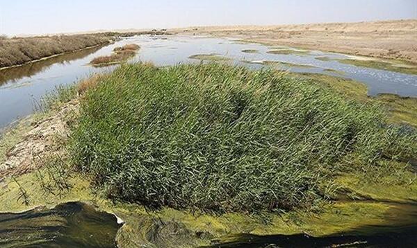 عکس تالاب گاوخونی اصفهان