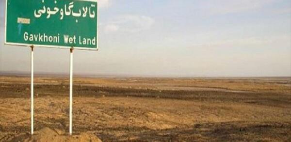 عکس باتلاق گاوخونی در ایران
