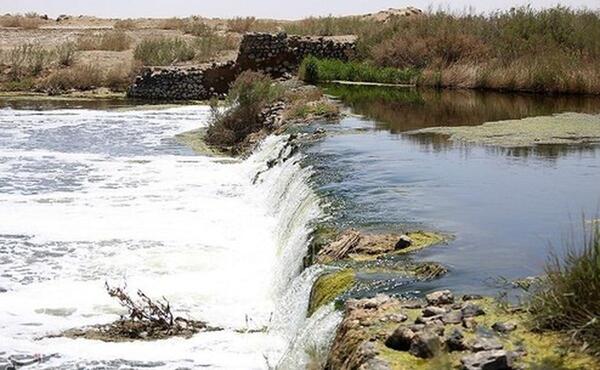 عکس از باتلاق گاوخونی